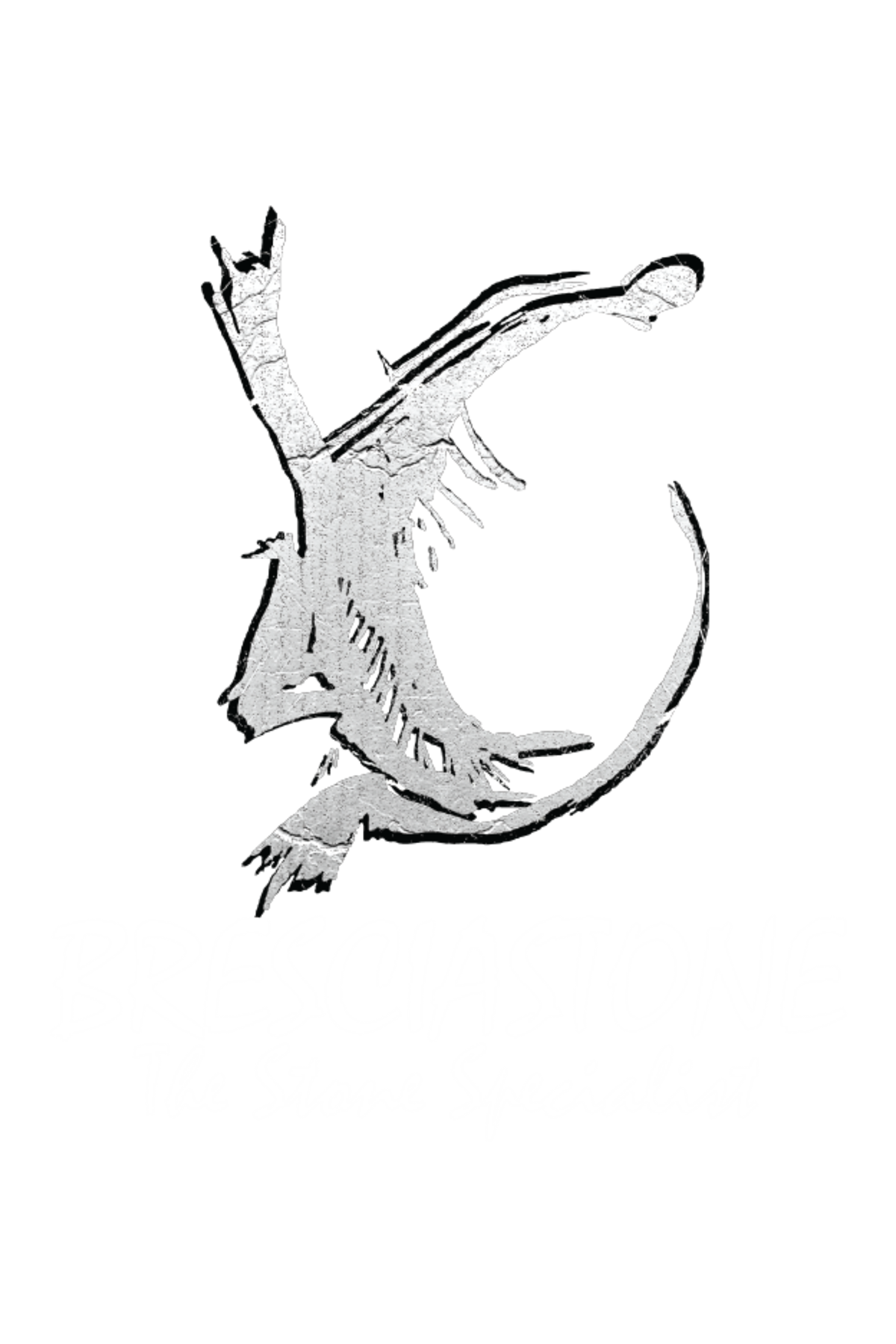 Brescia Stone partner logo